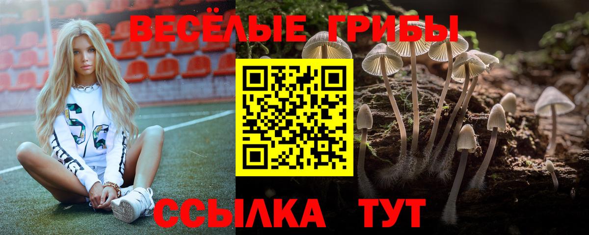 Галлюциногенные грибы ЛСД  Вход с VPN  Псилоцибиновые грибы Cubensis  Аргун 